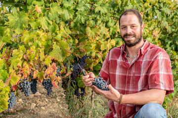 portrait of smiling farmer in vineyard