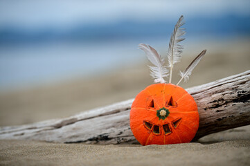 pumpkin with feathers