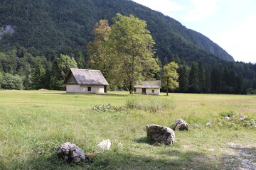 Hütte Holzhaus verfallen ländlich Bauernhof Berg Wald
