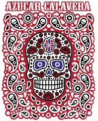 Mexican sugar skull and paisley, vintage design t shirts
