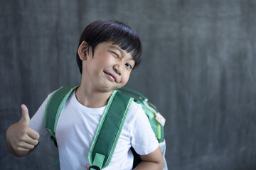 Happy Little Asian boy with a backpack, Back to school concept
