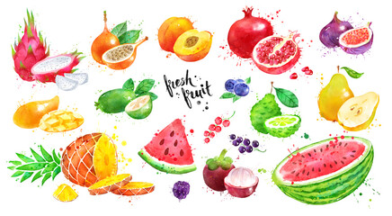 Watercolor set of exotic fruit