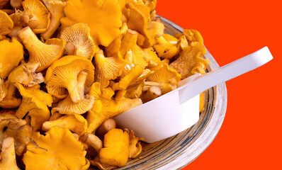 Raw fresh chanterelle mushrooms in a bowl with a spoon. Red background