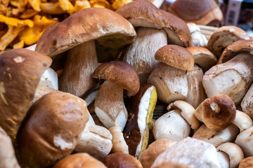 Fresh boletus mushrooms from the market
