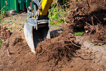 Digging out of trunk and roots with mini excavator. Tree stump removal
