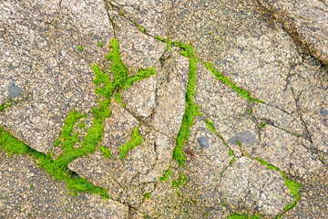 Rochers en Bretagne, texture