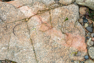 Rochers en Bretagne, texture
