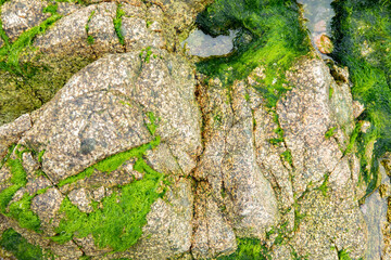 Rochers en Bretagne, texture