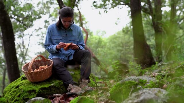 Woman attentively looking at Lactarius mushroom in woods