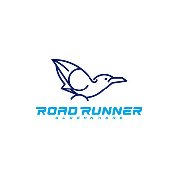 Roadrunner bird logo vector illustration design template