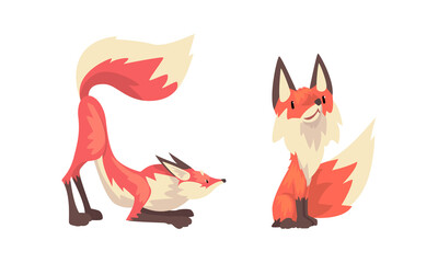 Fox Animal with Upright Ears, Pointed Snout and Long Bushy Tail in Different Poses Vector Set