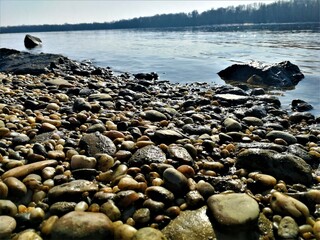 Pebbles of Danube