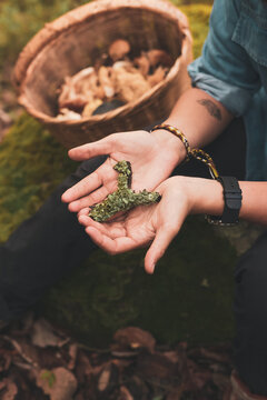 Woman showing lichen in hands in forest