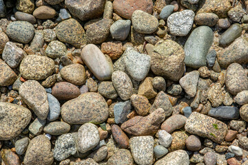 Gravier, plage de Bretagne, texture