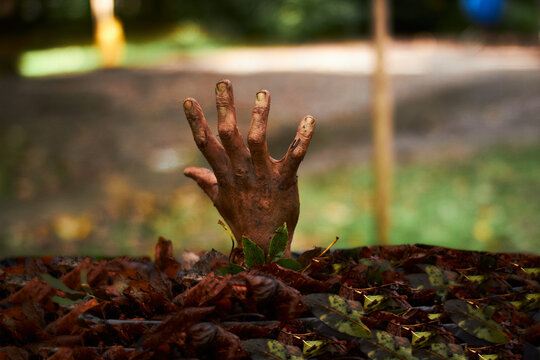 Zombie hand coming out of the ground