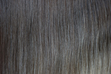 Dark blonde hair close up for background