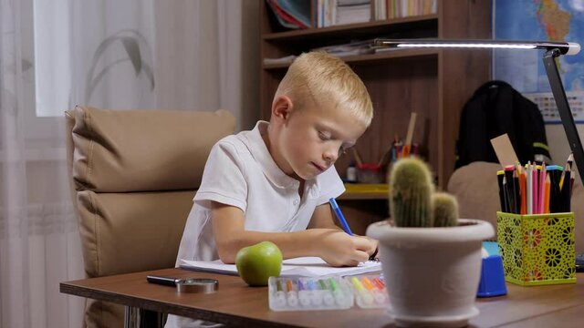 A small, focused student writes homework in a notebook sitting at a desk, there are a lot of pencils, a lamp, a cactus and an apple on the table.