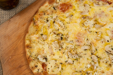 Brazilian pizza with mushroom, cheese and oregano