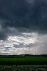 曇り空と田んぼ