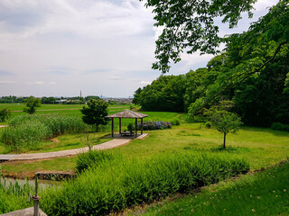 初夏の公園