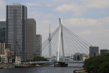 Fototapeta na wymiar 佃大橋から見る中央大橋（東京都中央区）