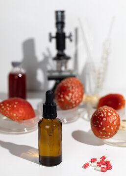 Fly agaric mushrooms. Amanita microdosing is the use of dried mushrooms in literally microscopic dosage.