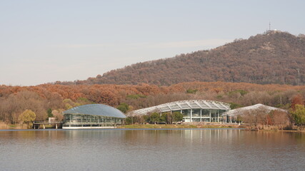 The beautiful autumn view with the colorful leaves in the forest