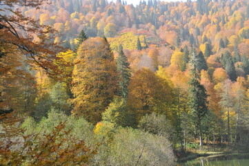 Artvin Borçka Karagöl in autumn