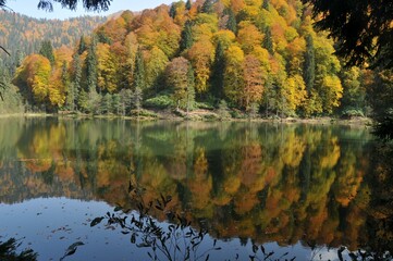 Artvin Borçka Karagöl in autumn