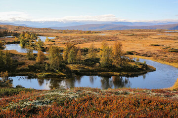Forollhogna national Park