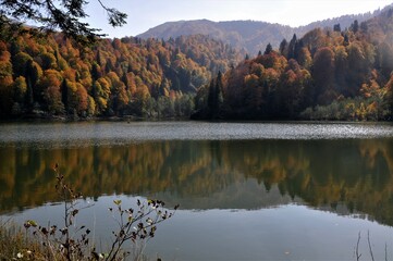 Artvin Borçka Karagöl in autumn