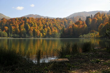 Artvin Borçka Karagöl in autumn