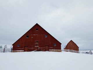 Two Red Barns in the Winter Country
