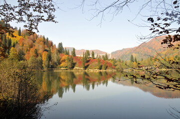 Obraz premium Artvin Borçka Karagöl in autumn