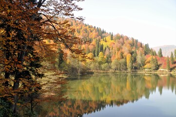 Artvin Borçka Karagöl in autumn