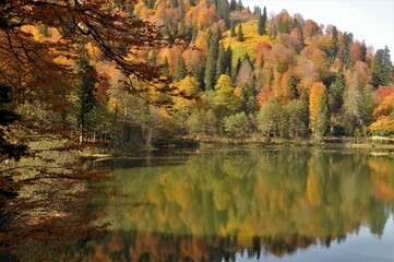 Artvin Borçka Karagöl in autumn