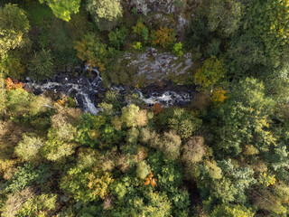 Autumn landscape, trees that begin to get autumn colors. Aerial, drone photography of colorful forest and a river. Photography taken in September in Sweden.