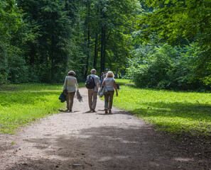 Obraz premium walk in the park