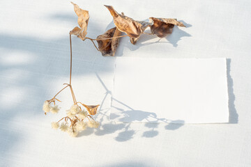 Winter or autumn wedding still life scene. Birthday stationery mockup. Blank greeting...