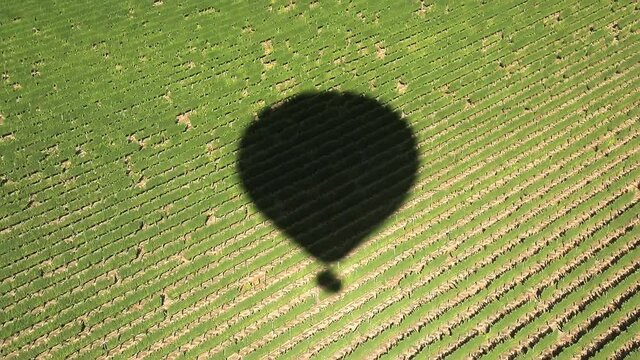 Aerial 4K view on large hot air balloon shadow lifting up above green agriculture field on sunny summer Californian day, USA. Countryside landscape with green farm field on background