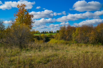 autumn landscape with trees and clouds