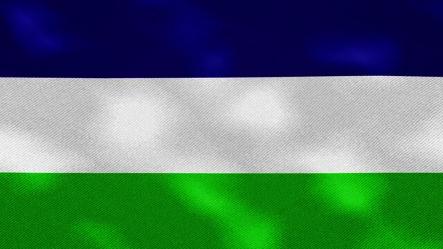 The Kingdom of Araucania and Patagonia dense flag fabric wavers, background loop