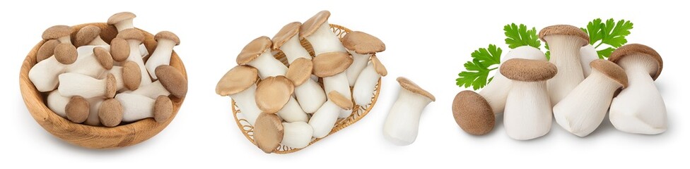 King Oyster mushroom or Eringi isolated on white background . Set or collection