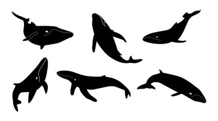 Set of black white silhouettes of humpback whales. Group of marine animal for protection of fauna. Collection of logos underwater mammals with fins and tails for design. Vector isolated illustration