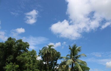 Fototapeta na wymiar blue sky morning time with cloud sky.