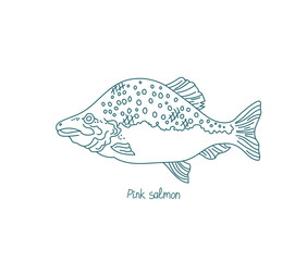 Pink salmon or humpback salmon. Open paths. Editable stroke. Custom line thickness.