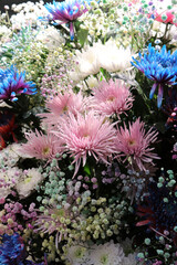 flowers in the garden