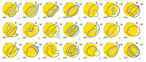 Nuts and seeds line icons. Hazelnut, Almond nut and Peanut. Sunflower and pumpkin seeds, Brazil nut, Pistachio icons. Walnut, Coconut and Cashew nuts. Pecan, peas, macadamia. Vector
