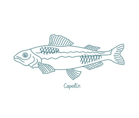 The capelin or caplin fish. Mallotus villosus. Open paths. Editable stroke. Custom line thickness.