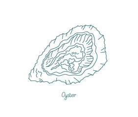 Oyster salt-water bivalve molluscs. Open paths. Editable stroke. Custom line thickness.